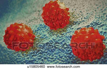 Cancer cells, illustration View Large Photo Image Stock Image - Cancer cells, illustration. Fotosearch