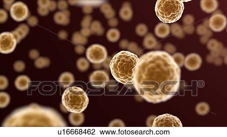 Cancer cells, illustration View Large Photo Image Stock Image - Cancer cells, illustration. Fotosearch