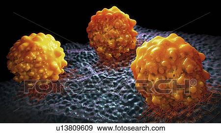 Cancer cells, illustration View Large Photo Image Stock Photo - Cancer cells, illustration. Fotosearch