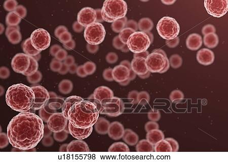 Stock Photo - Cancer cells, illustration. Fotosearch