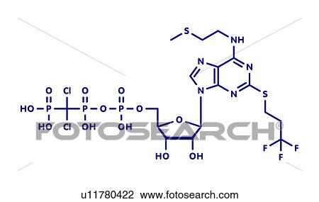 Stock Image - Cangrelor antiplatelet drug, molecular model. Fotosearch