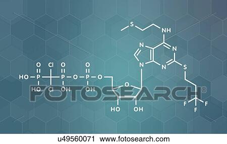 Stock Image - Cangrelor antiplatelet drug, molecular model. Fotosearch