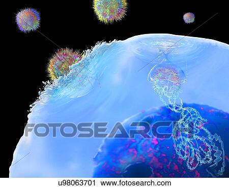 CAR T cell immunotherapy, illustration View Large Photo Image Stock Image - CAR T cell immunotherapy, illustration. Fotosearch