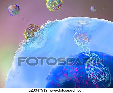 Stock Photo - CAR T cell immunotherapy, illustration. Fotosearch