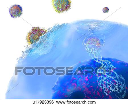 Stock Photograph - CAR T cell immunotherapy, illustration. Fotosearch
