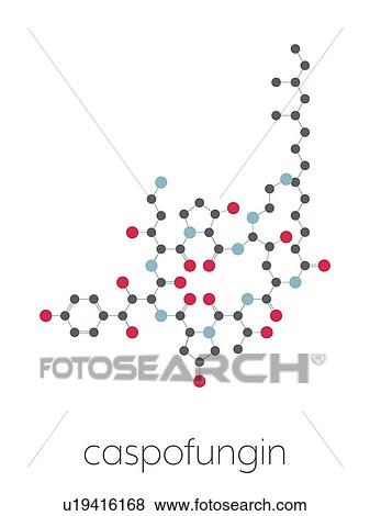Caspofungin antifungal drug, molecular model View Large Photo Image Stock Photo - Caspofungin antifungal drug, molecular model. Fotosearch