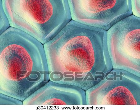 Stock Image - Cells, illustration. Fotosearch