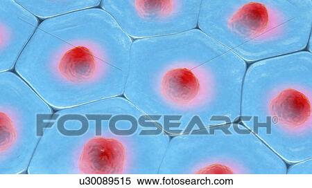 Stock Photography - Cells, illustration. Fotosearch
