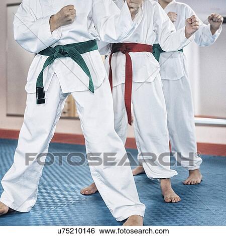Children in taekwondo class View Large Photo Image Stock Photograph - Children in taekwondo class. Fotosearch