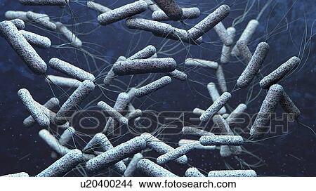 Cholera bacteria, illustration View Large Photo Image Picture - Cholera bacteria, illustration. Fotosearch