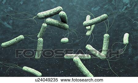 Stock Photography - Cholera bacteria, illustration. Fotosearch