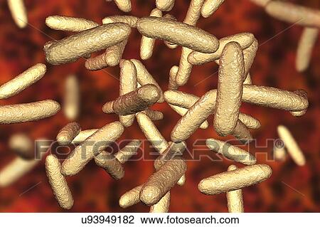Citrobacter bacteria, illustration View Large Photo Image Stock Image - Citrobacter bacteria, illustration. Fotosearch