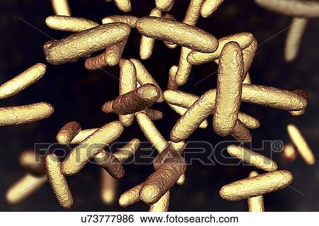 Stock Photograph - Citrobacter bacteria, illustration. Fotosearch