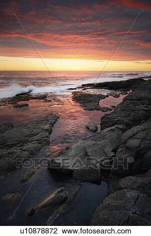 Stock Image - Coastline, Hermanus, Cape Province, South Africa.. Fotosearch
