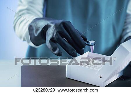Cryopreservation of biological sample View Large Photo Image Stock Photo - Cryopreservation of biological sample. Fotosearch