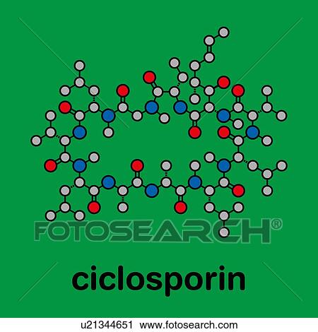 Stock Image - Cyclosporine immunosuppressant drug, molecular model. Fotosearch
