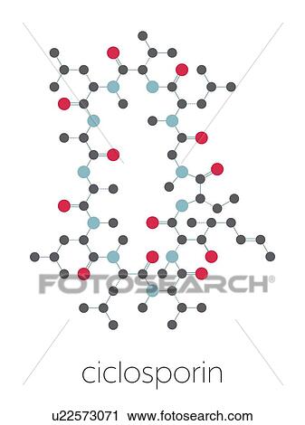 Stock Image - Cyclosporine immunosuppressant drug, molecular model. Fotosearch