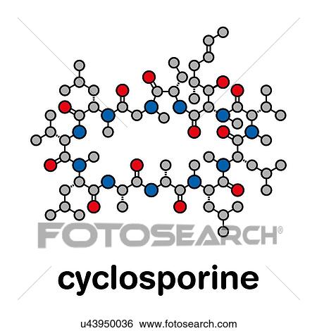 Stock Photograph - Cyclosporine immunosuppressant drug, molecular model. Fotosearch
