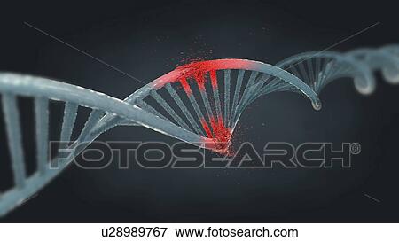 Stock Photo - Damaged DNA molecule, illustration. Fotosearch