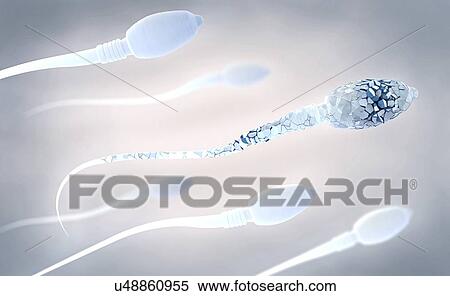 Stock Photography - Damaged sperm, illustration. Fotosearch