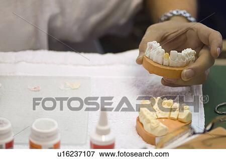 Stock Photo - Dental cast creation. Fotosearch