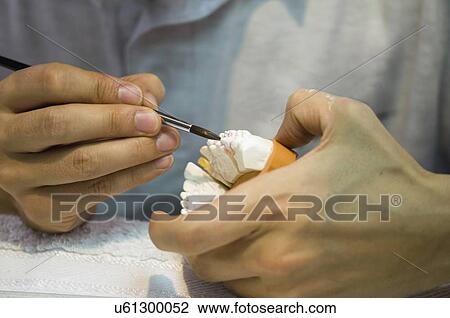 Stock Image - Dental prosthetic technician at work. Fotosearch