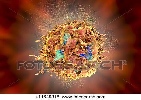 Stock Photo - Destruction of a cancer cell, illustration. Fotosearch