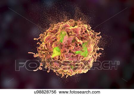 Stock Photograph - Destruction of a cancer cell, illustration. Fotosearch