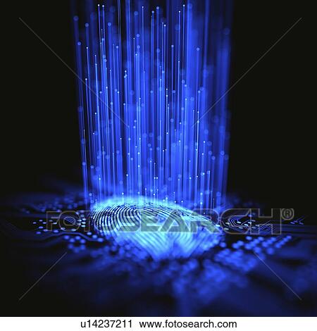 Digital fingerprint, conceptual computer illustration. View Large Photo Image Stock Image - Digital fingerprint, conceptual computer illustration.. Fotosearch