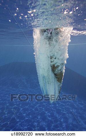 Diver underwater View Large Photo Image Stock Image - Diver underwater. Fotosearch