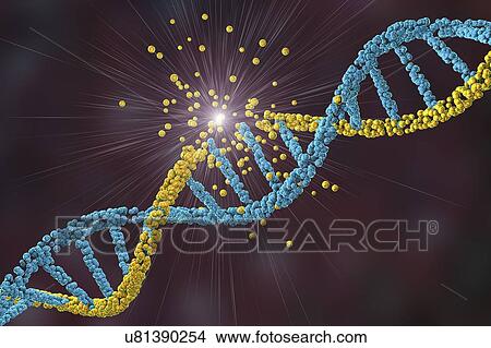 Picture - DNA damage, illustration. Fotosearch