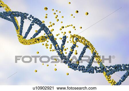 Stock Image - DNA damage, illustration. Fotosearch