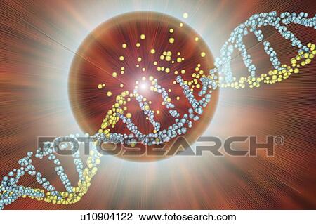 Stock Image - DNA damage, illustration. Fotosearch