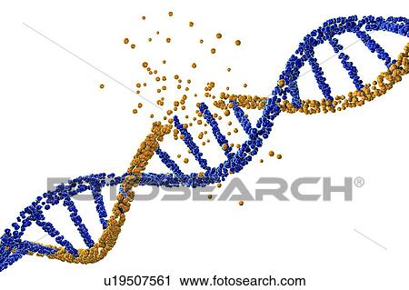 Stock Image - DNA damage, illustration. Fotosearch