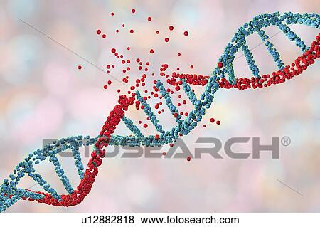 Stock Photo - DNA damage, illustration. Fotosearch