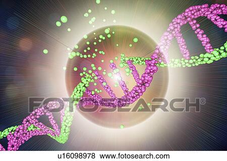 Stock Photo - DNA damage, illustration. Fotosearch