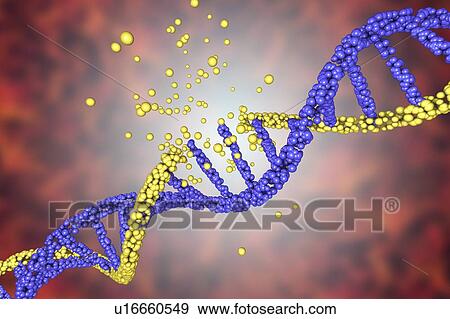DNA damage, illustration View Large Photo Image Stock Photo - DNA damage, illustration. Fotosearch