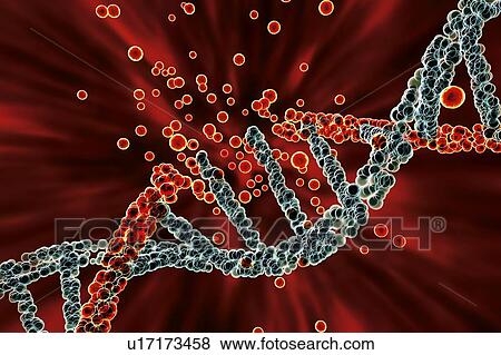 Stock Photo - DNA damage, illustration. Fotosearch