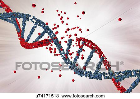 Stock Photo - DNA damage, illustration. Fotosearch