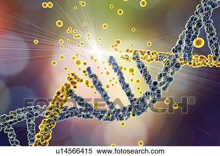 Stock Photography - DNA damage, illustration. Fotosearch