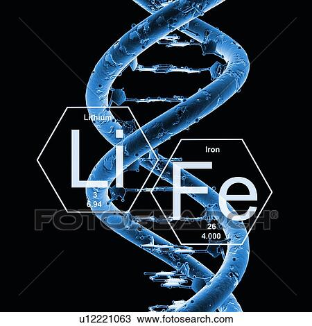 DNA (Deoxyribonucleic acid) and word 'life', illustration. View Large Photo Image Stock Image - DNA (Deoxyribonucleic acid) and word 'life', illustration.. Fotosearch