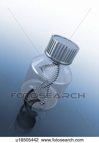 Dna (Deoxyribonucleic acid) strand in container, illustration. View Large Photo Image Stock Image - Dna (Deoxyribonucleic acid) strand in container, illustration.. Fotosearch