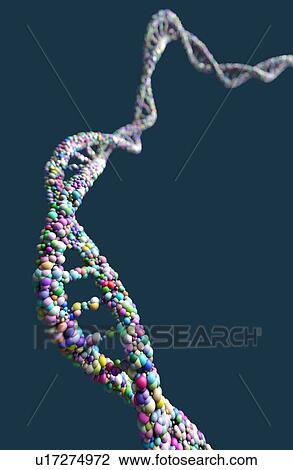 DNA (deoxyribonucleic acid) strand against a blue background, illustration. View Large Photo Image Stock Image - DNA (deoxyribonucleic acid) strand against a blue background, illustration.. Fotosearch