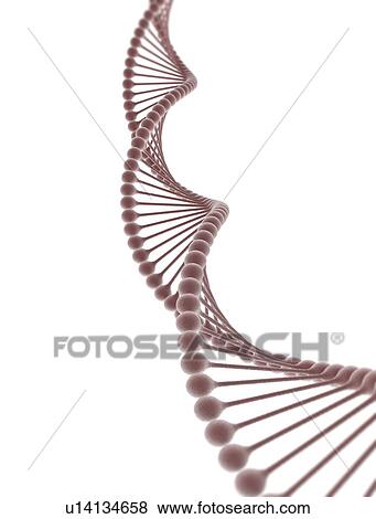 Stock Photo - DNA, illustration. Fotosearch
