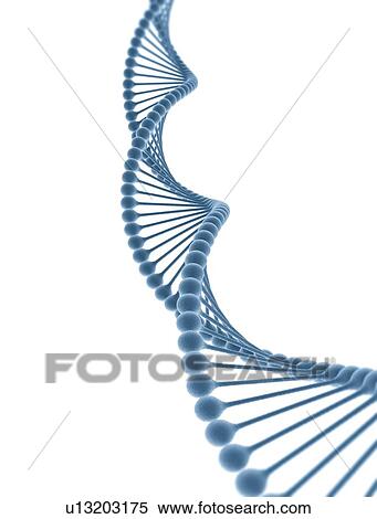 DNA, illustration View Large Photo Image Stock Photography - DNA, illustration. Fotosearch