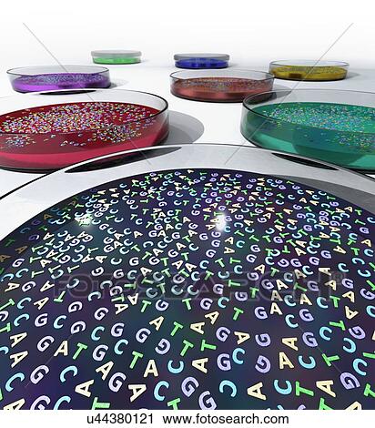 Stock Image - DNA letters in petri dishes, illustration. Fotosearch