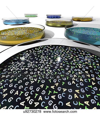 Stock Photo - DNA letters in petri dishes, illustration. Fotosearch