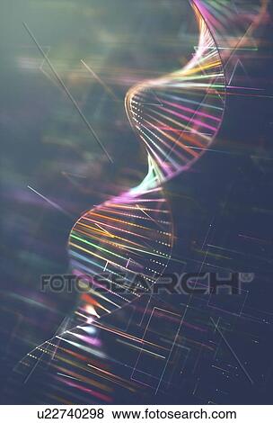 Stock Photo - DNA molecule, computer illustration.. Fotosearch
