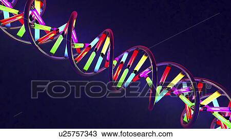 Stock Image - DNA molecule, illustration. Fotosearch