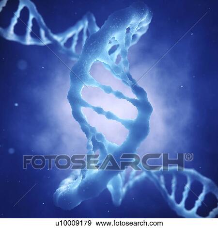 DNA molecule, illustration View Large Photo Image Stock Photo - DNA molecule, illustration. Fotosearch